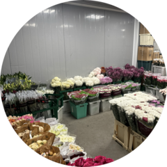 Струков Сергей Витальевич