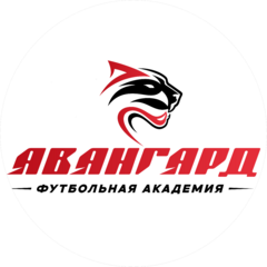 Академия Футбольного Мастерства АВАНГАРД