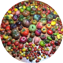 Мельников Денис Викторович