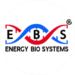 Энерго Био Системы