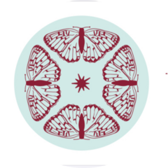 Петрова Александра Олеговна