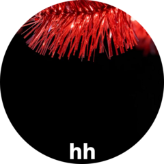 Тестовая регистрация компании HHRU для приложений