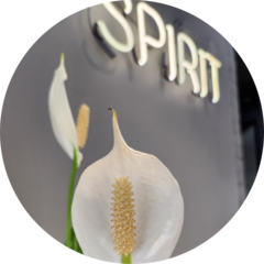 студия красоты СПИРИТ