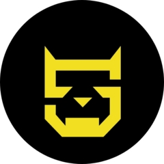 Беляева Светлана Валерьевна