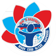 МАОУ СОШ №133
