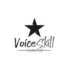 VoiceSkill