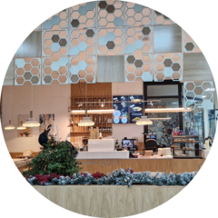 Сухобрусов Антон Дмитриевич