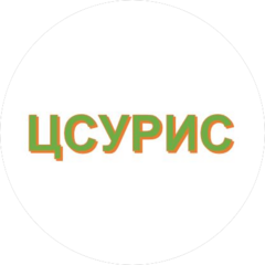 ЦСУРИС