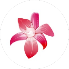 Салоны красоты Орхидея