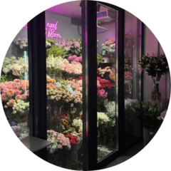 Лебедева Оксана