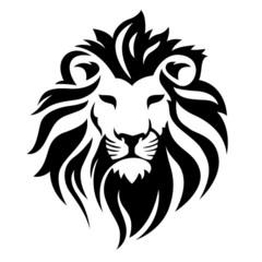 Джаббаров Элчин Шакирович