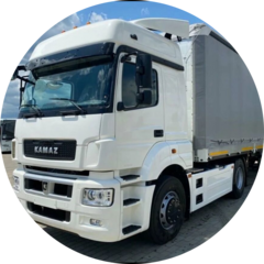 Судариков Егор Сергеевич