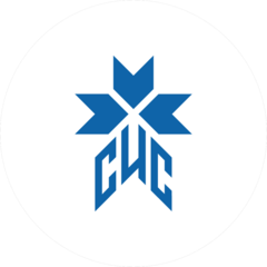 Световые Инновационные Системы