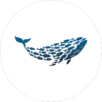 Velar Capitals (ИП Ходченков Евгений Юрьевич)