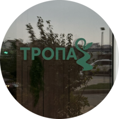 Кравченко Екатерина Александровна