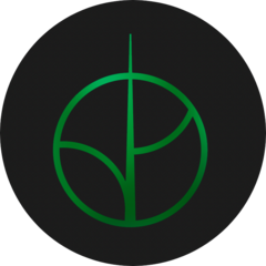 Старков Проджект