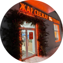 Николаева Алена Владимировна