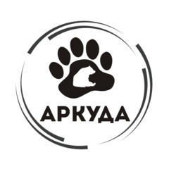 Гасс Александр Александрович