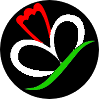 Ярмоленко Юлия Васильевна