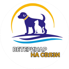 Ветеринар на связи