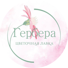 Гербера