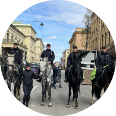 Специальный Полк Полиции ГУ МВД России по г. Санкт-Петербургу и Ленинградской области 19-я линия Васильевского острова, 28