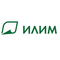 Группа Илим