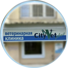 CityVetplus
