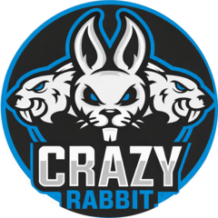 Центр тюнинга авто CrazyRabbit