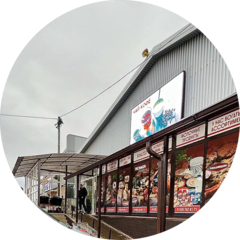 Гелашвили Анастасия Олеговна