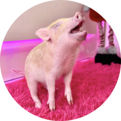 Никифорова Мария Игоревна