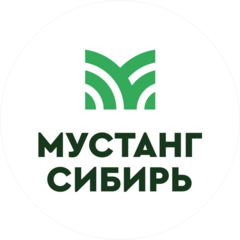 Мустанг-Сибирь