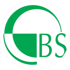 Бизнес Солюшенс