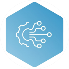 Дорохин Никита Андреевич