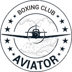 Aviator boxing club