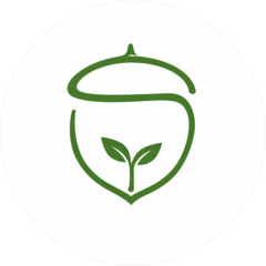 Кобозев Дмитрий Владимирович