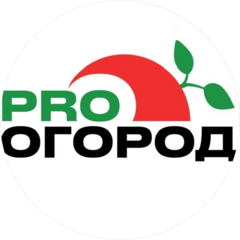 Ким Татьяна Владимировна