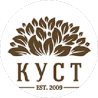 Студия видеографии КУСТ