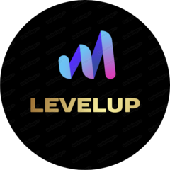 Levelup. Готовые IT-решения для бизнеса эффективно и на автомате.