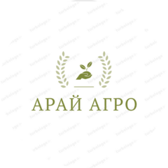 Зайцев Денис