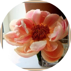 Жданович Татьяна Александровна