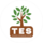 TES-�����