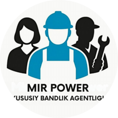 MIR POWER XUSUSIY BANDLIK AGENTLIGI