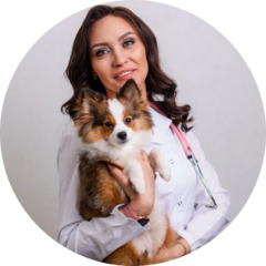 Ветеринарная помощь 911