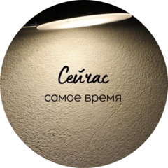 Курочкина Дарья Викторовна