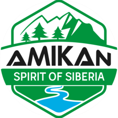 Амикан