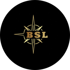 Биг Смарт Логистикс