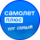 C������ ���� (�� ����� ������ ������������)