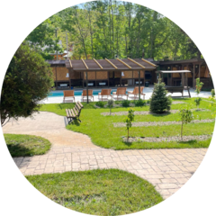 База отдыха Ромашка