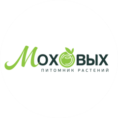 Мохов Михаил Алексеевич